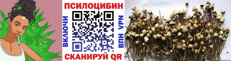 наркота  ссылка на мегу маркетплейс  Псилоцибиновые грибы Psilocybine cubensis  Добрянка 